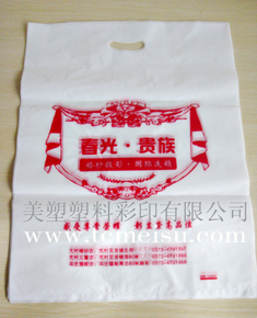包装袋设计_影楼婚纱包装袋设计(2)